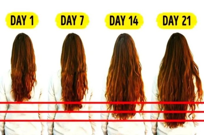 How to grow long hair