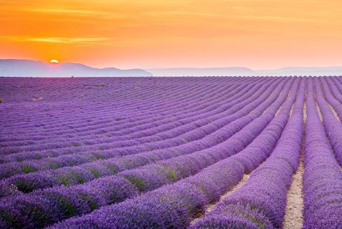 One of the most beautiful things i have ever seen